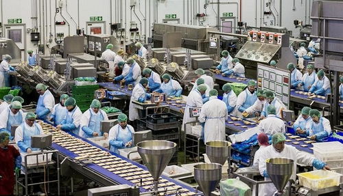 攜手佛山專業(yè)污水處理廠家，為食品廠定制高效化污水凈化工程方案，協(xié)同霧炮車構(gòu)建全方位環(huán)保屏障